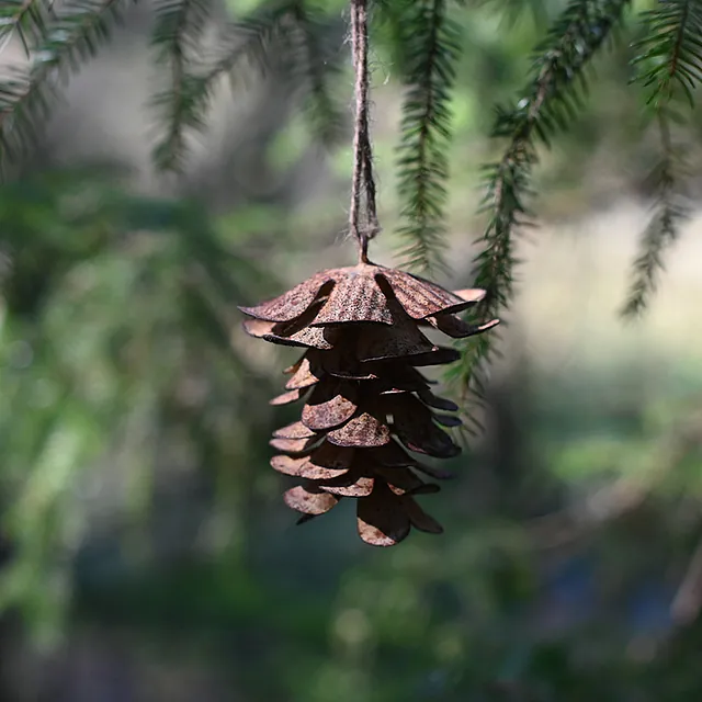 Pusteblume Gräfenhainichen